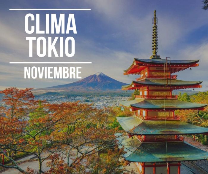 el clima en tokio en noviembre