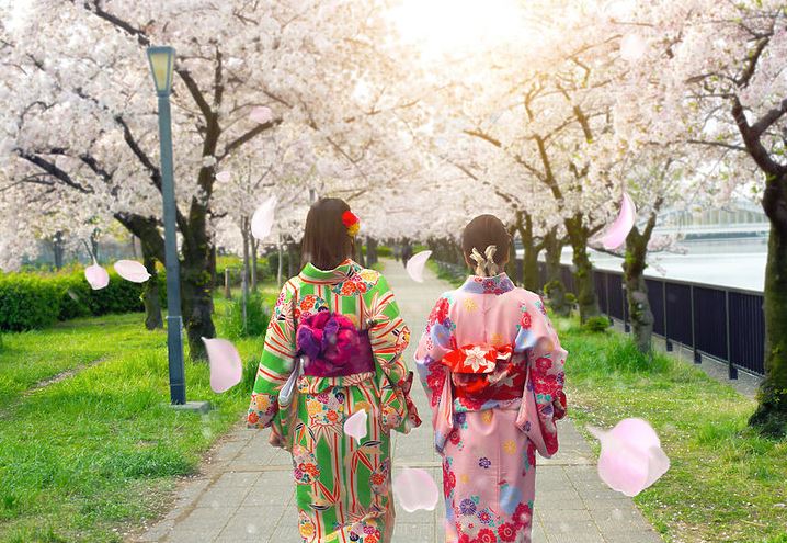 zona de geishas en tokio