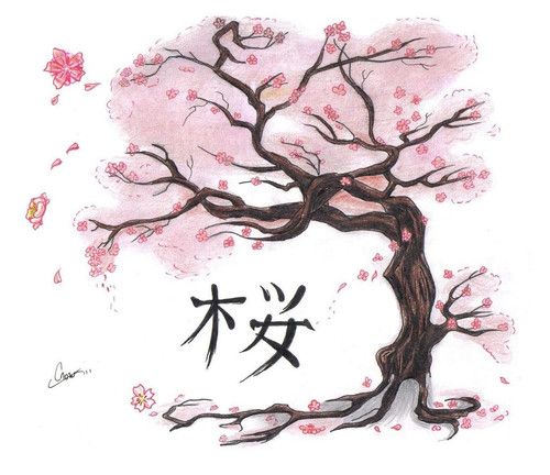 dibujo flor de cerezo japon