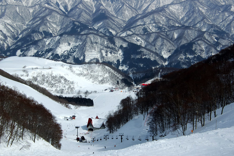 hakuba japon snow ski