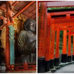 Excursión a Nara y Fushimi Inari desde Kioto