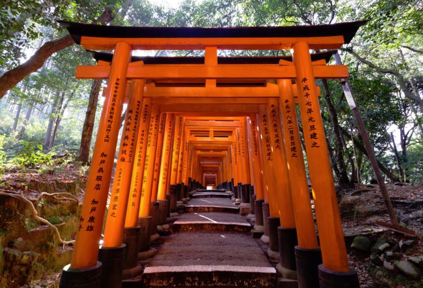 templo toriis rojos japon