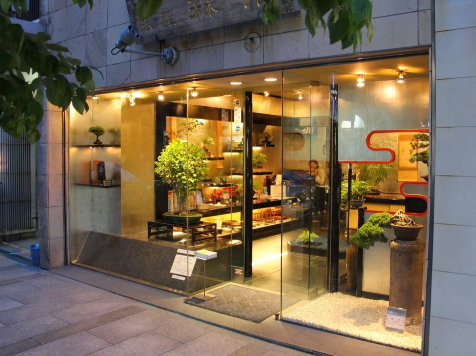 tienda de bonsais en tokio ginza morimae