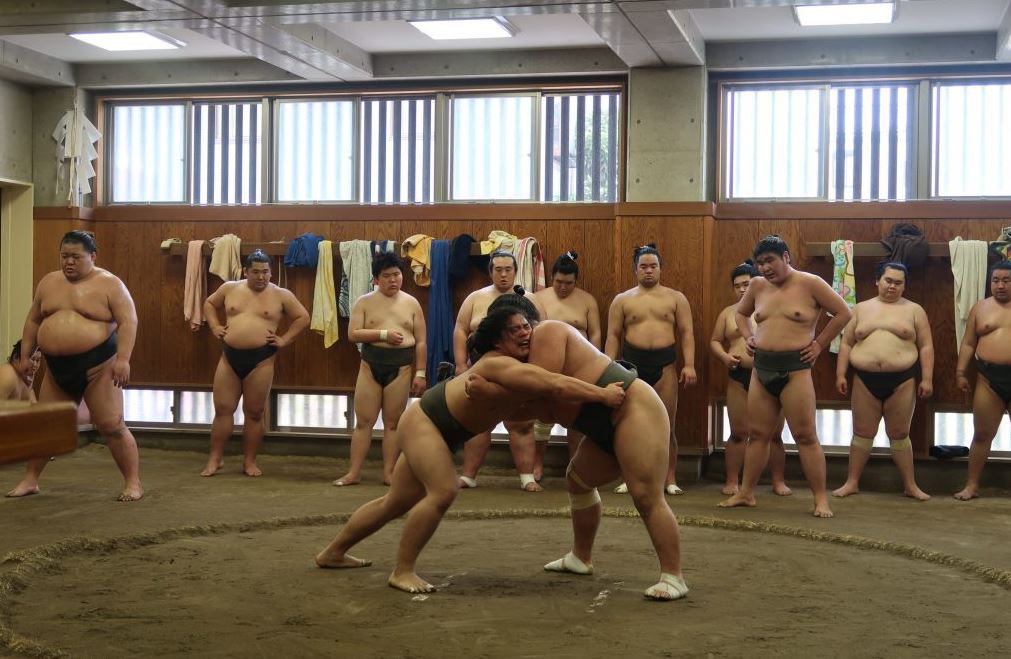como es un entrenamiento de sumo japon tomozuna beya