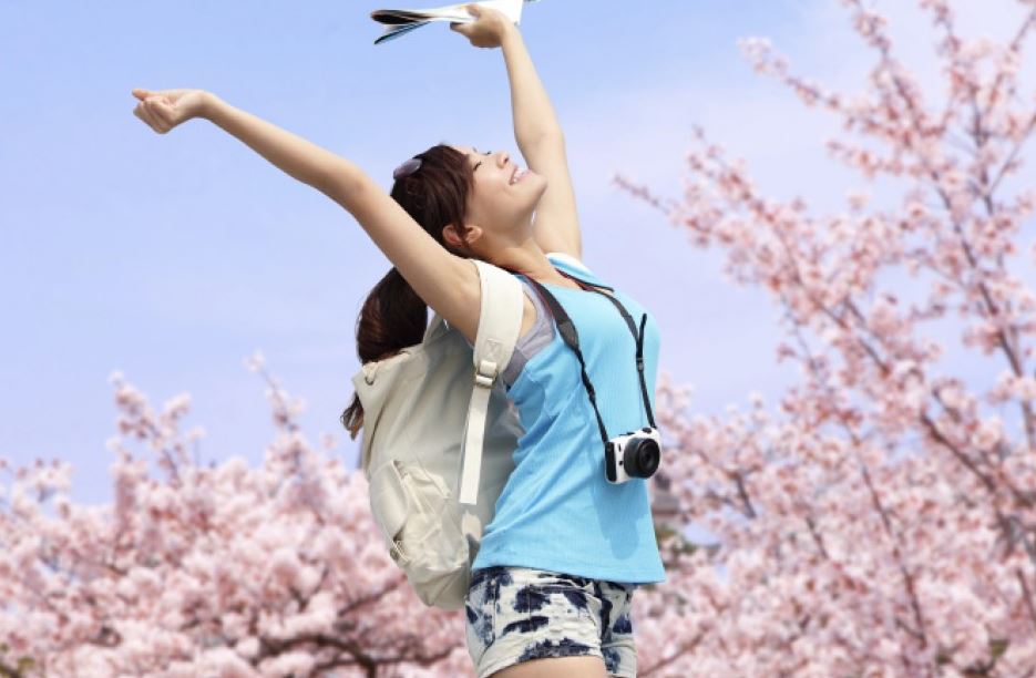 cuando conviene viajar a japon