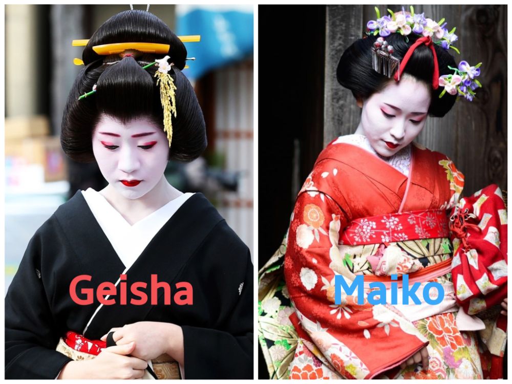 diferencia entre geisha y maiko - japon alternativo