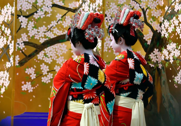 donde ver geishas en tokio