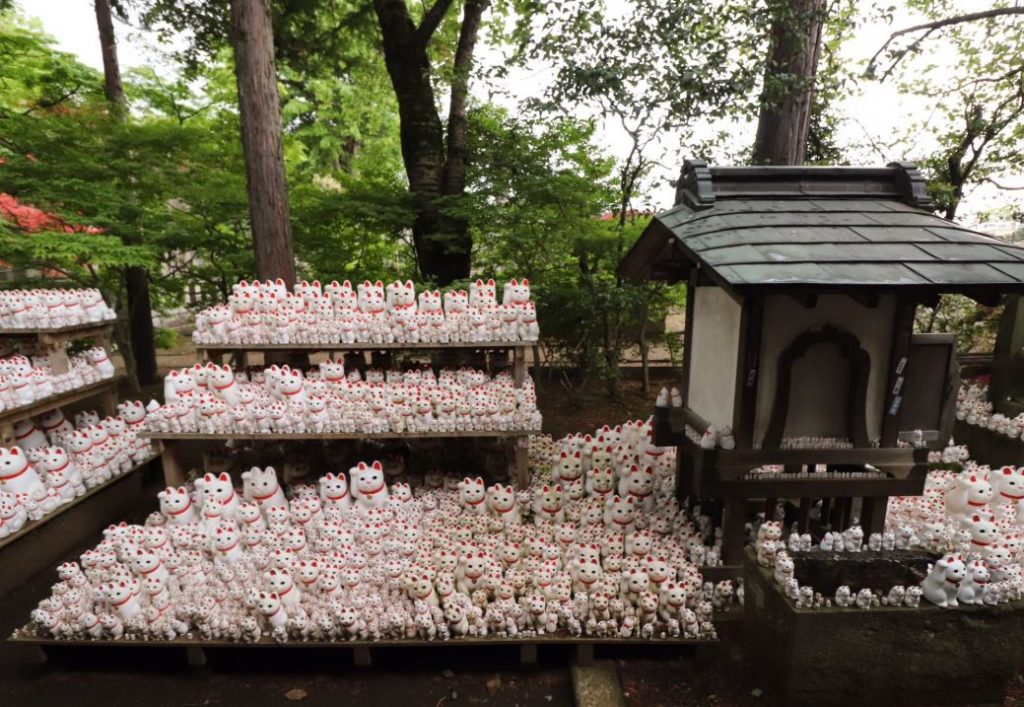 el templo de los gatos en tokio japon