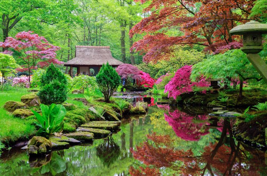 fotos de los mejores jardines japoneses