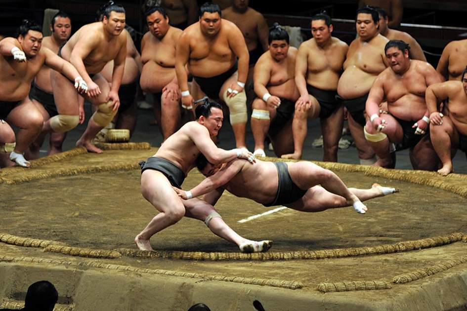 mejores entrenamientos de sumo en tokio