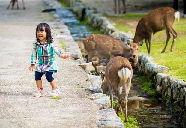 que hacer en nara con niños que hacer en nara con niños