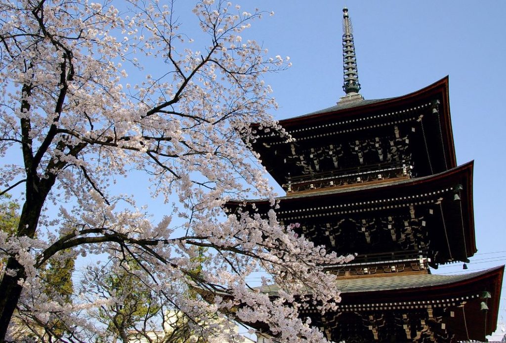 templo hida kokubun-ji horario