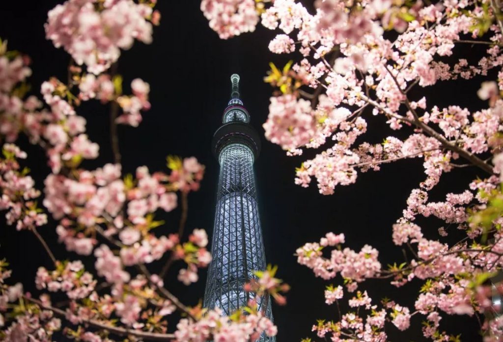 torre de tokio o tokyo skytree