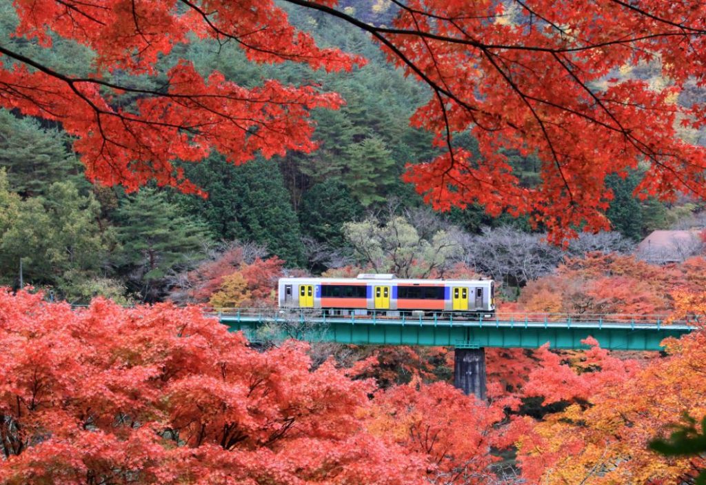 mejor epoca para viajar a japon cerezos otoño