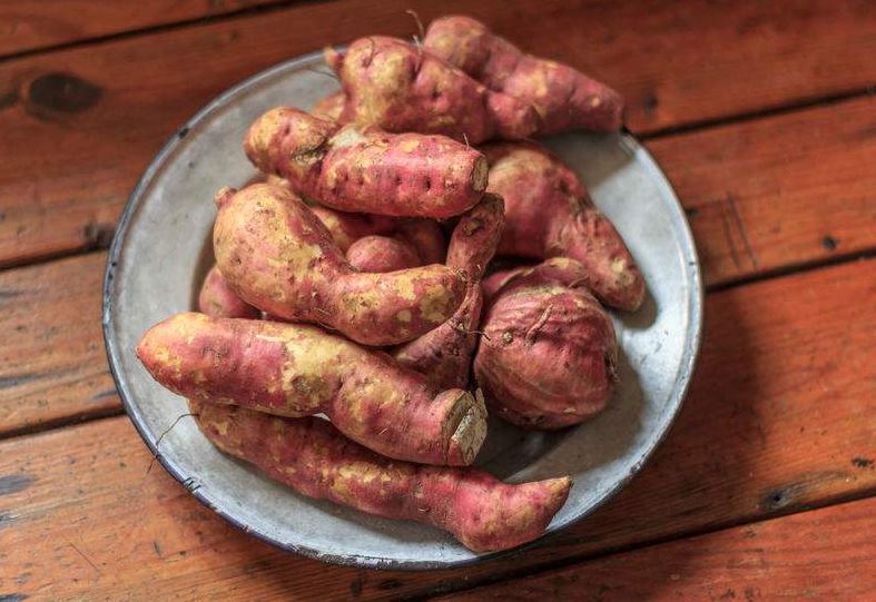 batata japonesa receta facil batata japonesa receta facil