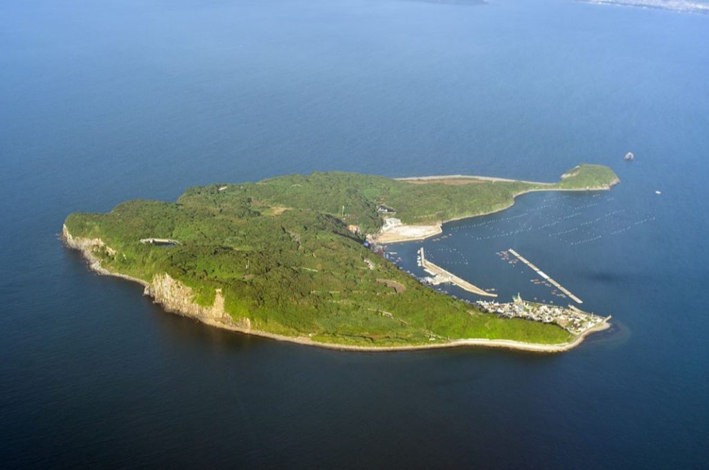 isla japonesa de los gatos ainoshima