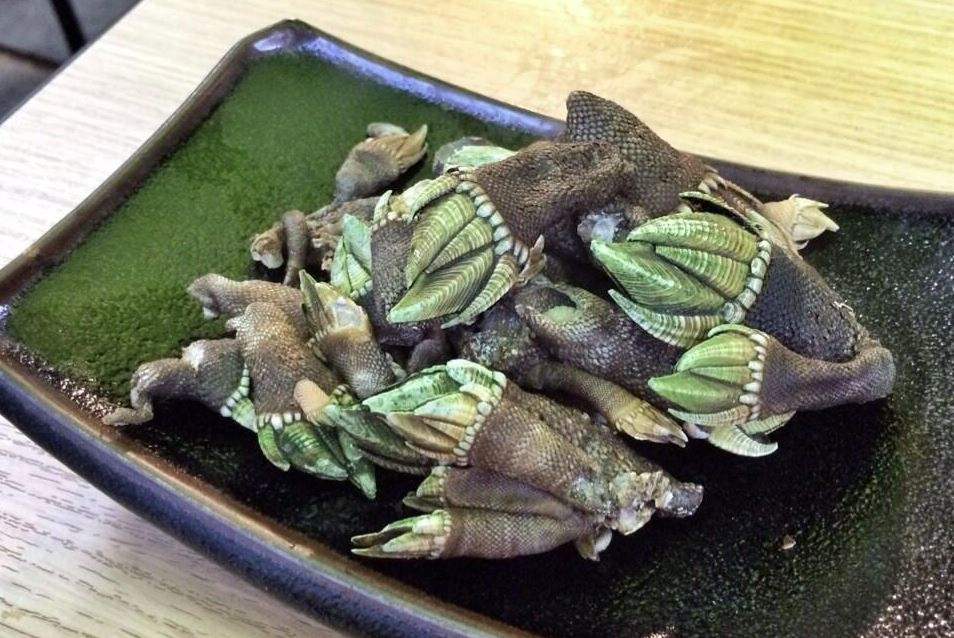 las comidas mas raras de japon