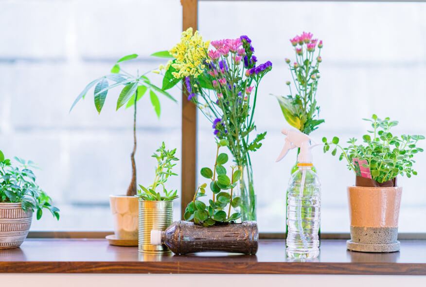 decoracion japonesa plantas