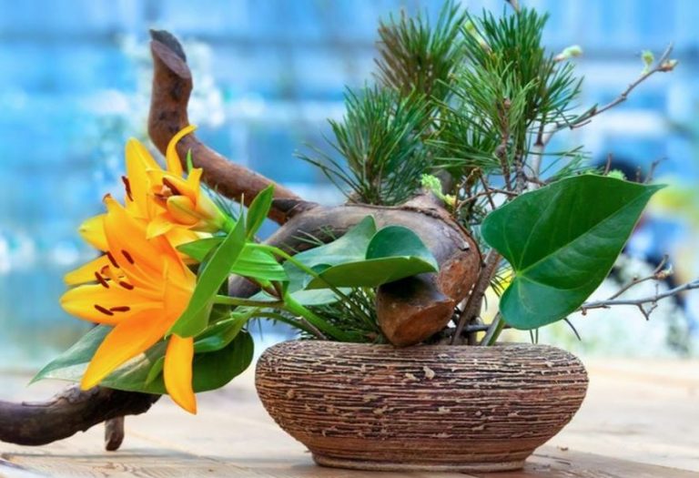 Cómo Hacer Ikebana ⇒ 【¡El Arte Floral Japonés!】 ⛩️