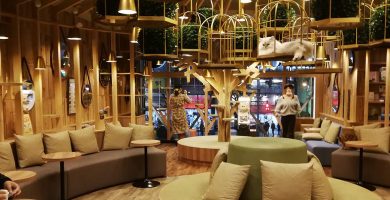 mejores gatotecas del mundo