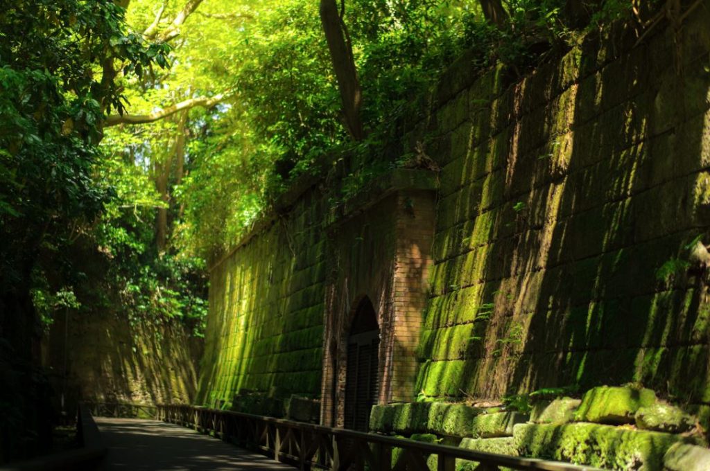 Japón diferente Sarushima