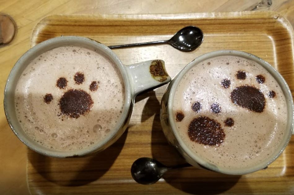 cafeteria con gatos en japon