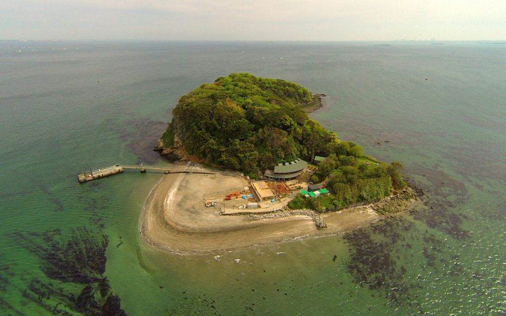 isla deshabitada de japon - sarushima
