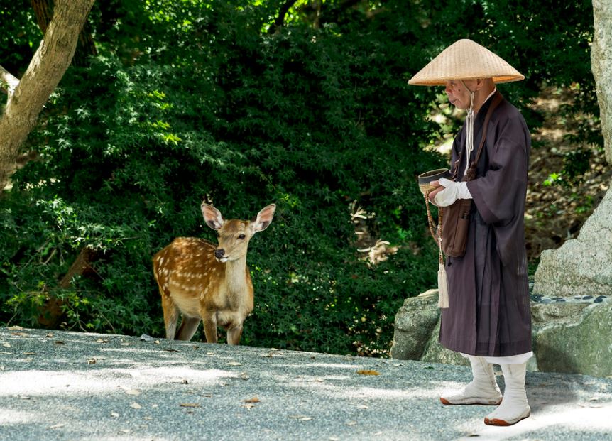 religiones japonesas actuales