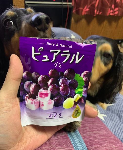 dulces de japon pureral