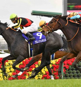 carreras de caballos en Japón