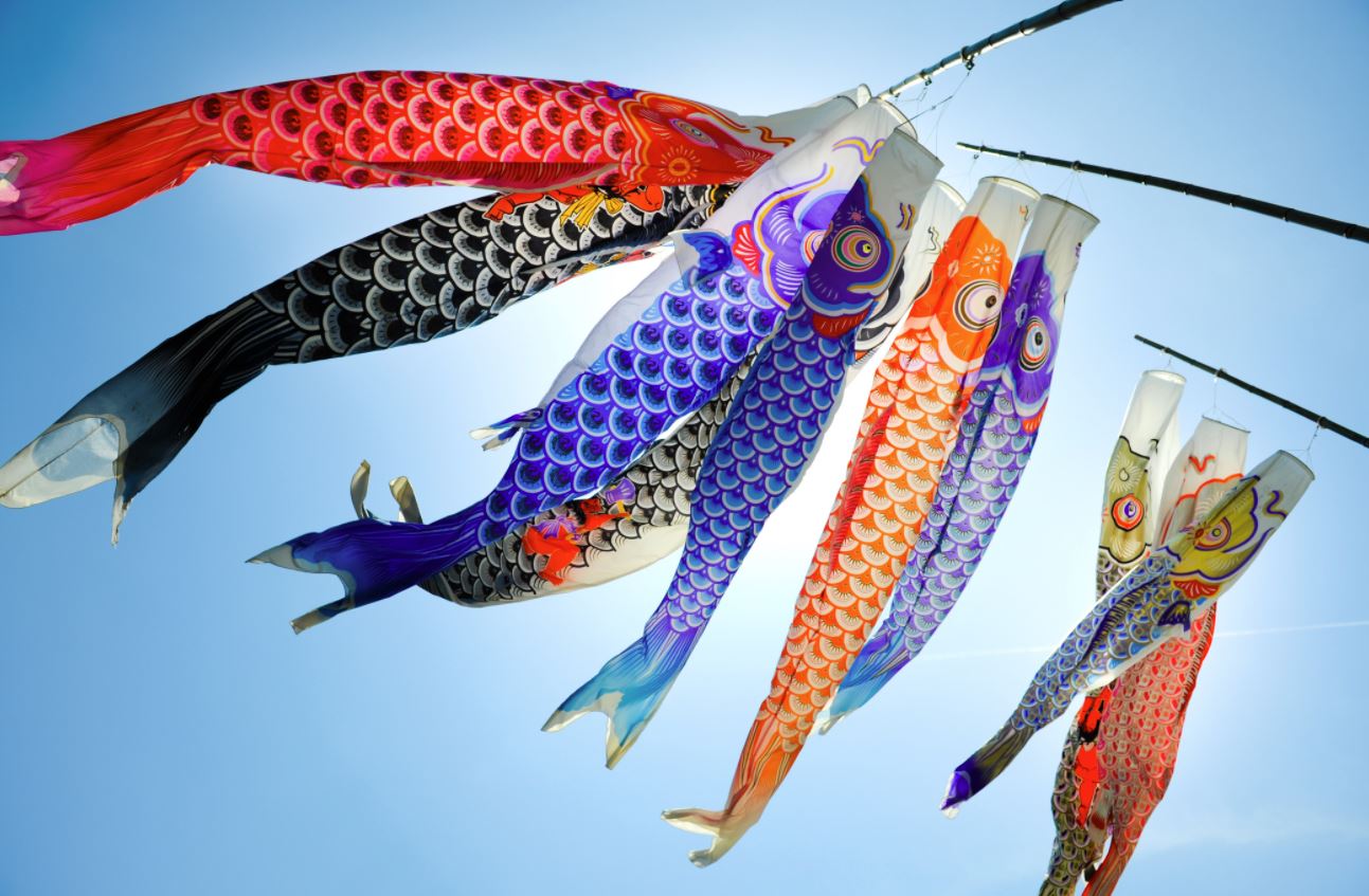 ⊛ 15 Curiosidades del Pez Koi ⇒ 【La Carpa Japonesa】 ⛩️