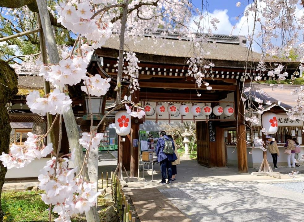 santuario hirano de kioto