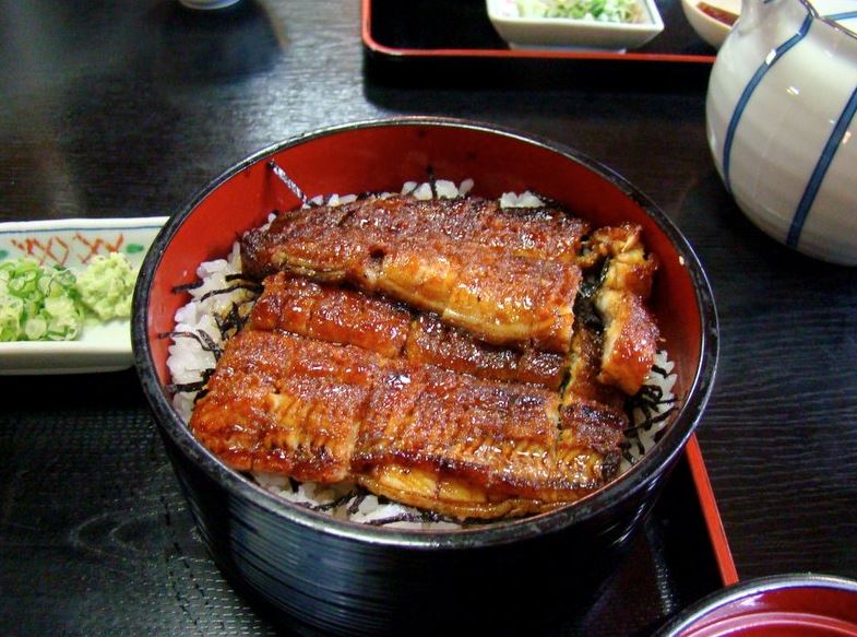 anguila con arroz plato japones