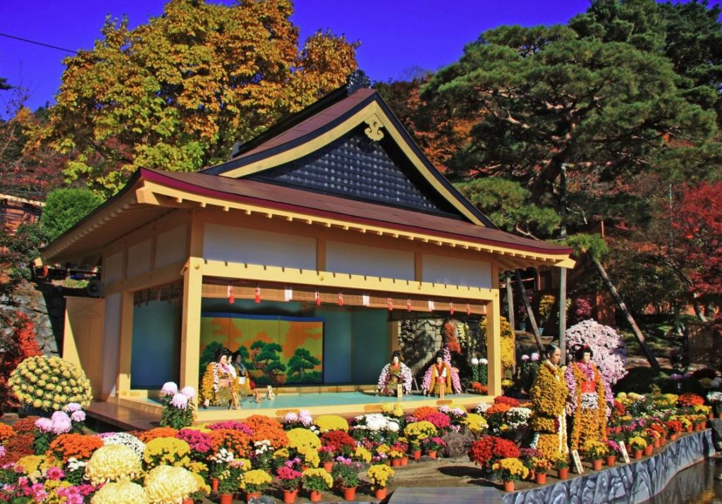 choyo no sekku festival japonés choyo no sekku festival japonés