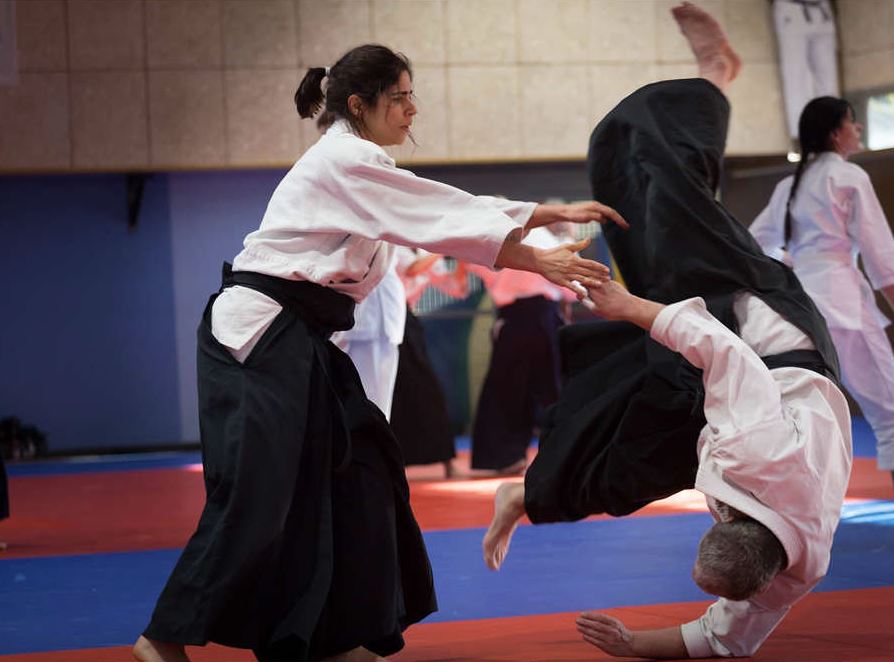 arte marcial japones aikido