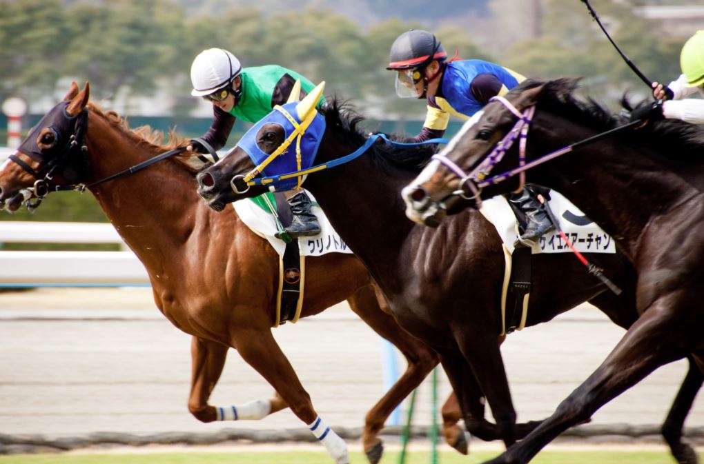 carreras de caballos en japon