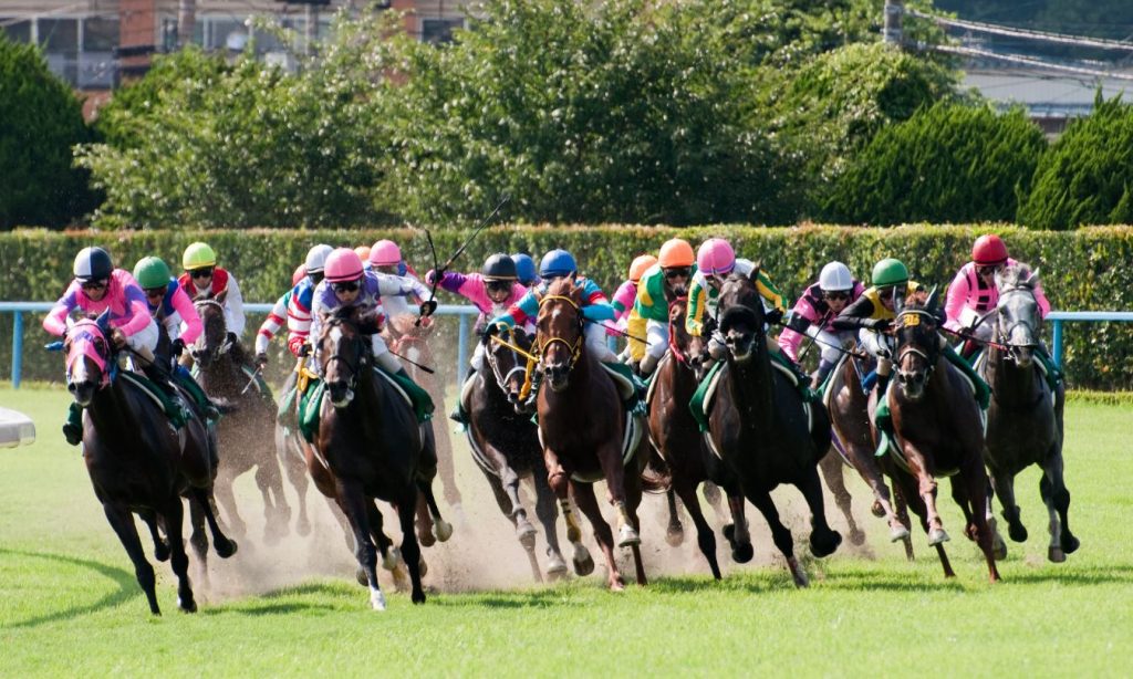 carreras de caballos japonesas
