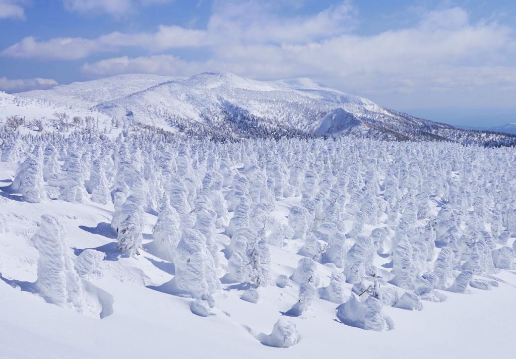 formaciones de nieve en japón formaciones de nieve en japón