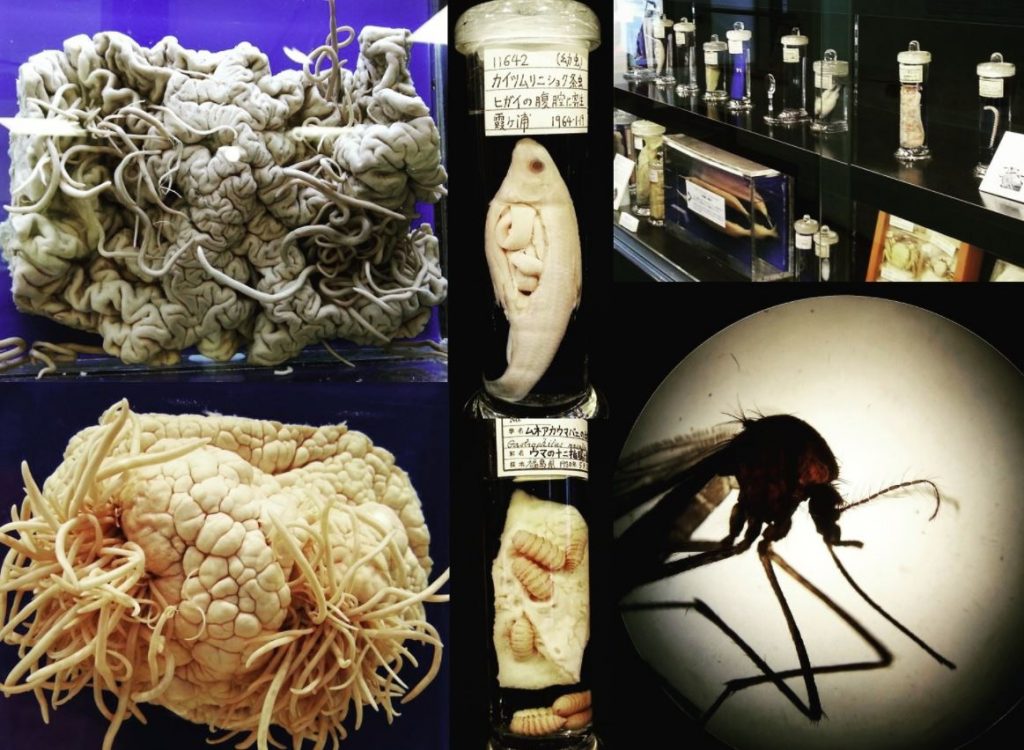 museo de parasitos en tokio japon