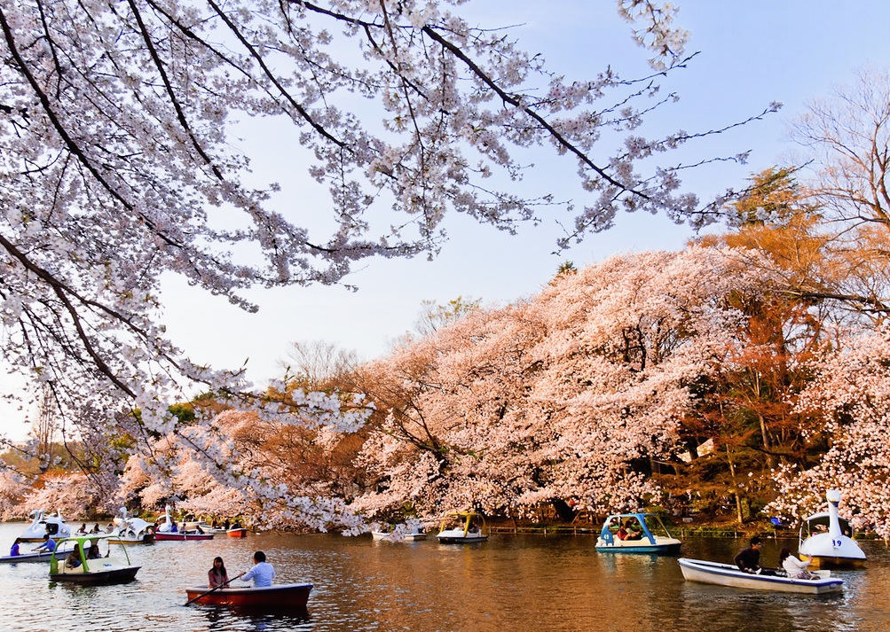 paseo en bote por tokio japon