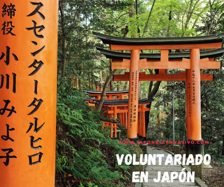 trabajo voluntario en japon trabajo voluntario en japon