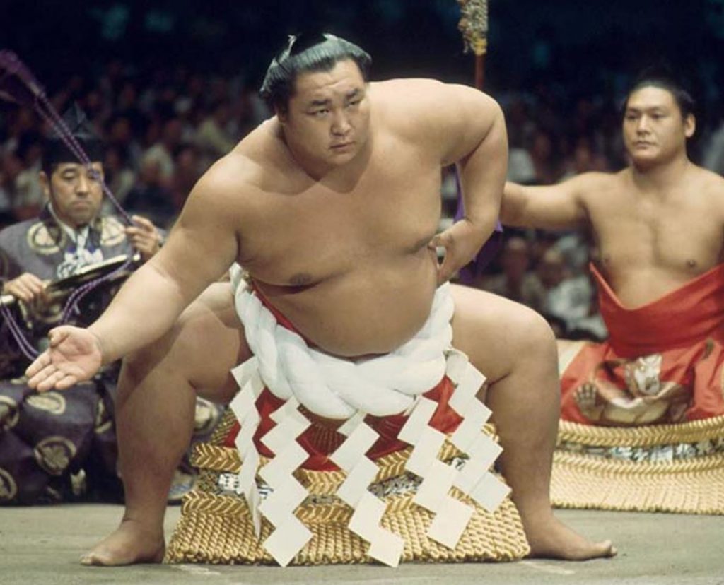luchadores sumo populares