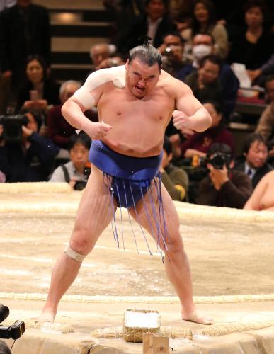mejor luchador sumo japonés