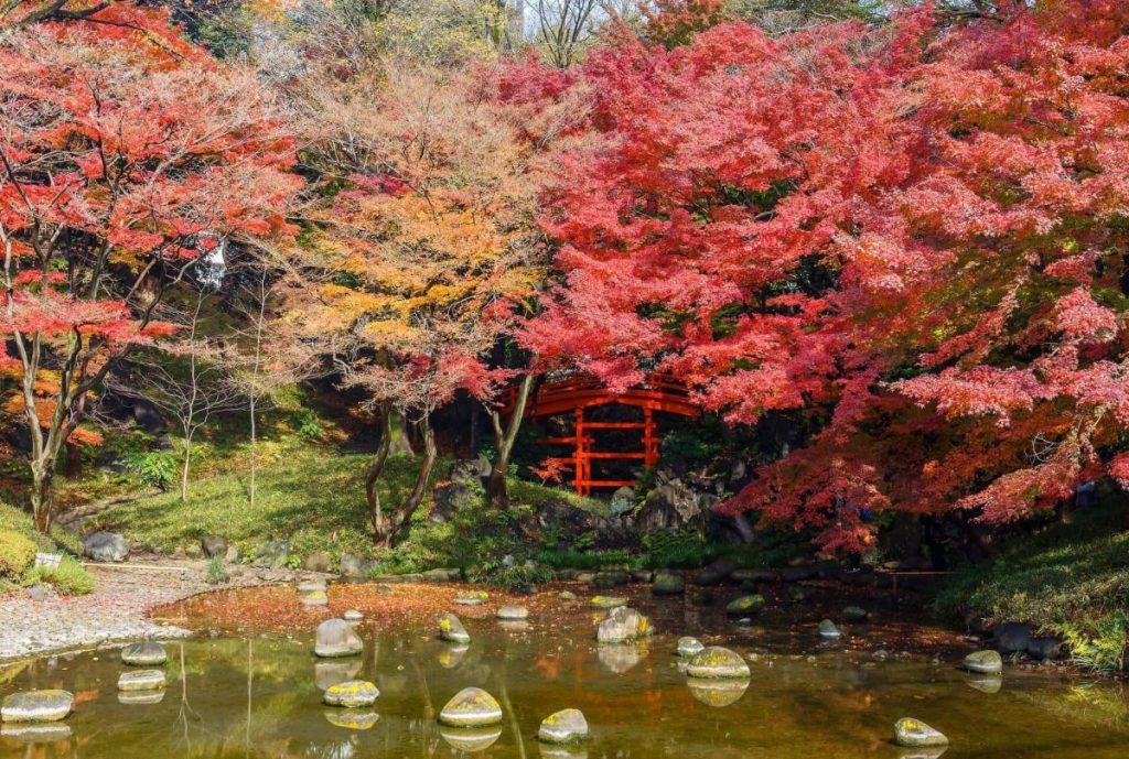 jardín koishikawa korakuen en otoño