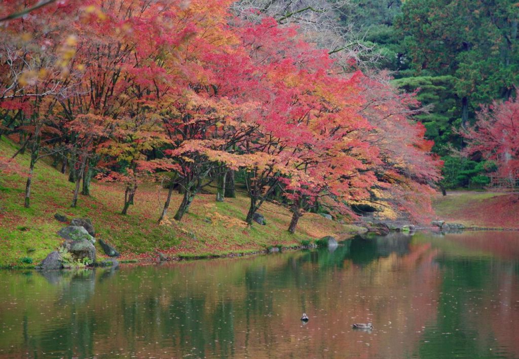 jardines de tokio en otoño