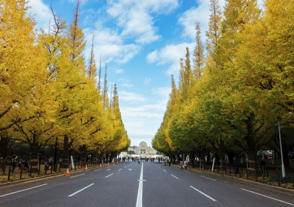 mejores lugares para ver el otoño en japon