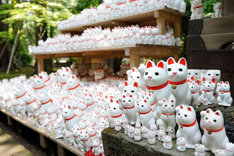 maneki neko japonés