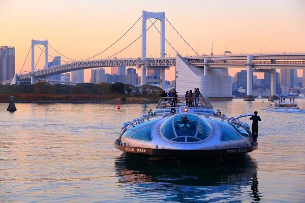 circuito japón 21 dias