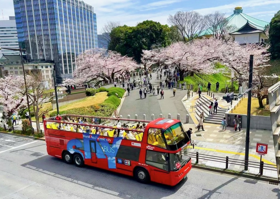 excursion por tokio en autobus
