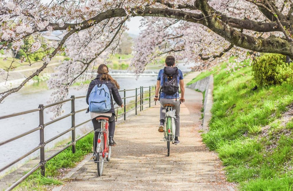 cómo es vivir en Japón cómo es vivir en Japón